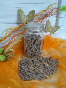 Penne di Farro